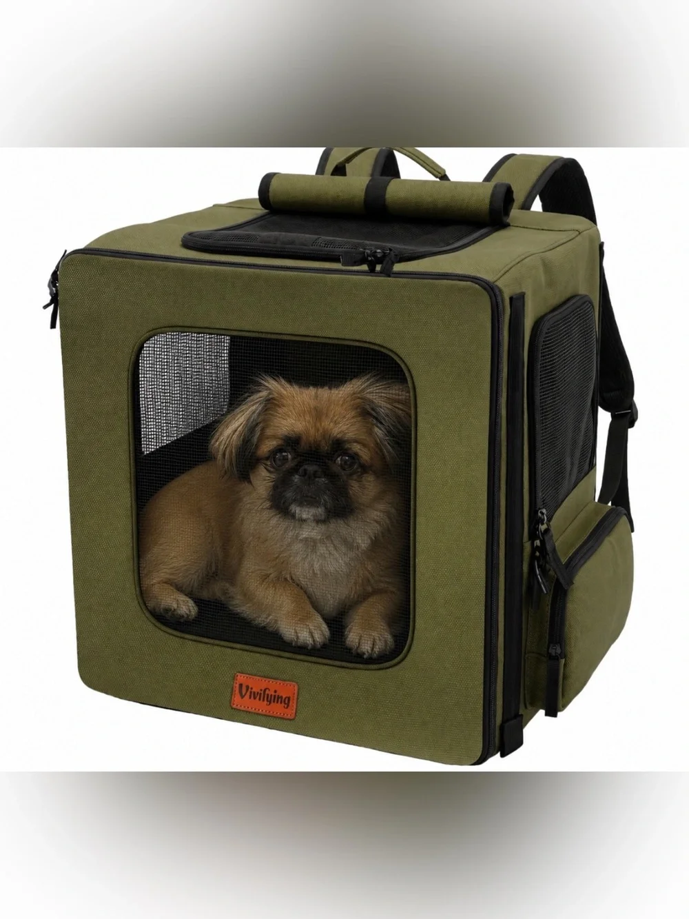 Vivifying Pet Carrier Backpack for Cats and Small Dogs up to 15 lb